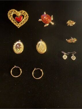 Heart and Sea Turtle Brooche, Lockets and Earrings